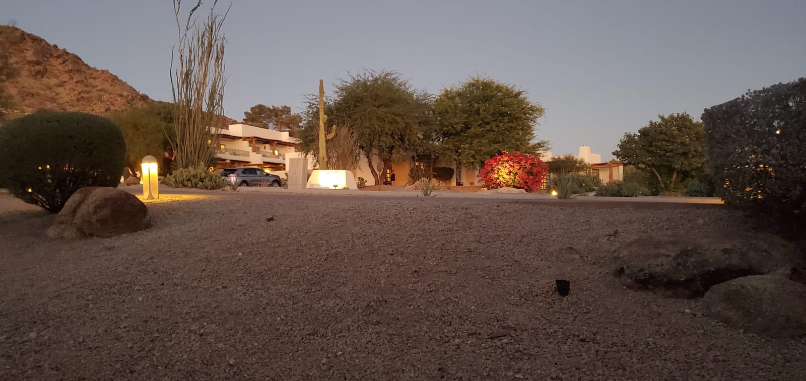 Warm evening uplighting on saguaro cacti and desert paths near the casita village. Evening illumination of saguaro cacti and casita pathways