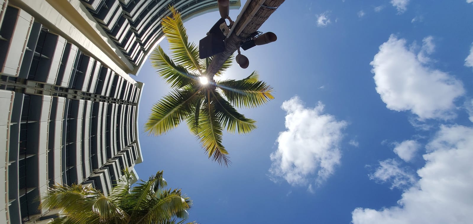 Palm Tree Canopy Providing Natural Shade over Mini Cabana #1