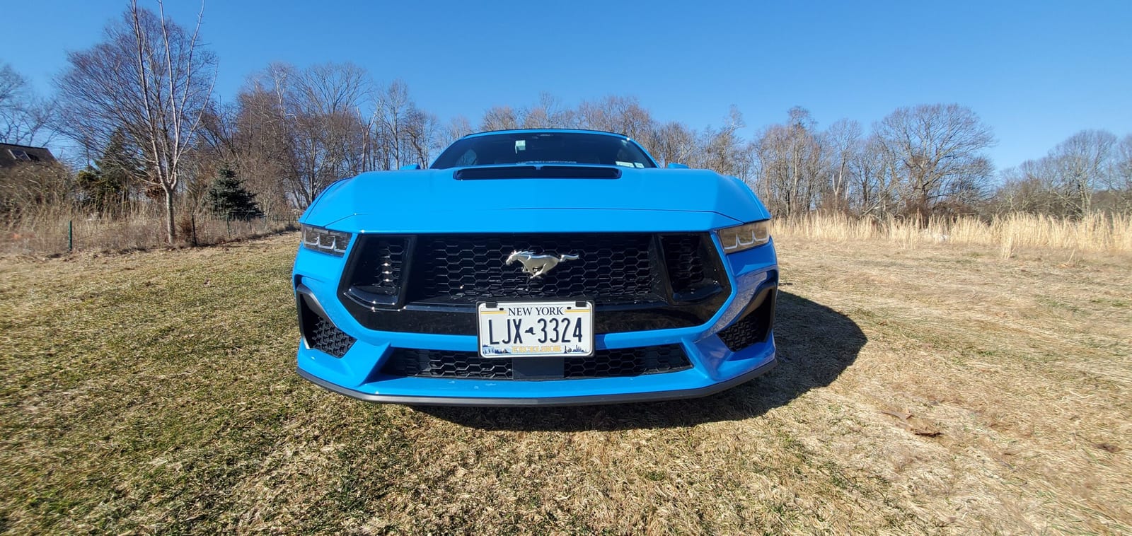 2024 Ford Mustang GT 5.0 V8 Convertible - Photo 5